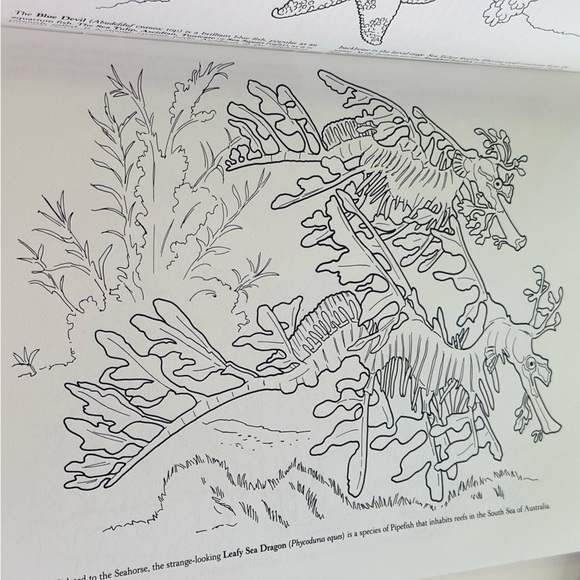Dover Coloring Coral Reef 🪸🐠 Paperback Coloring Activity Book - Picture 6 of 9